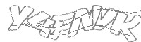 Check code